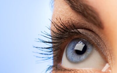 Degeneración macular húmeda
