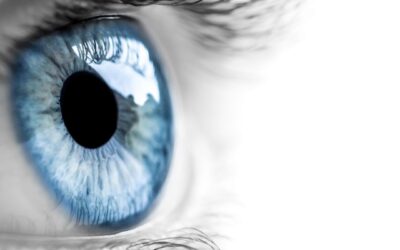 ¿Qué es la mácula? El centro de nuestra visión