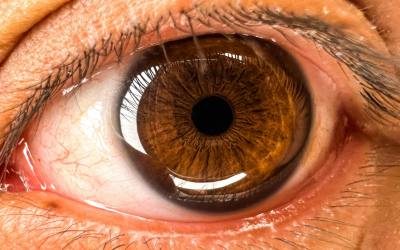 Capas de la retina: conoce la estructura que hace posible tu visión