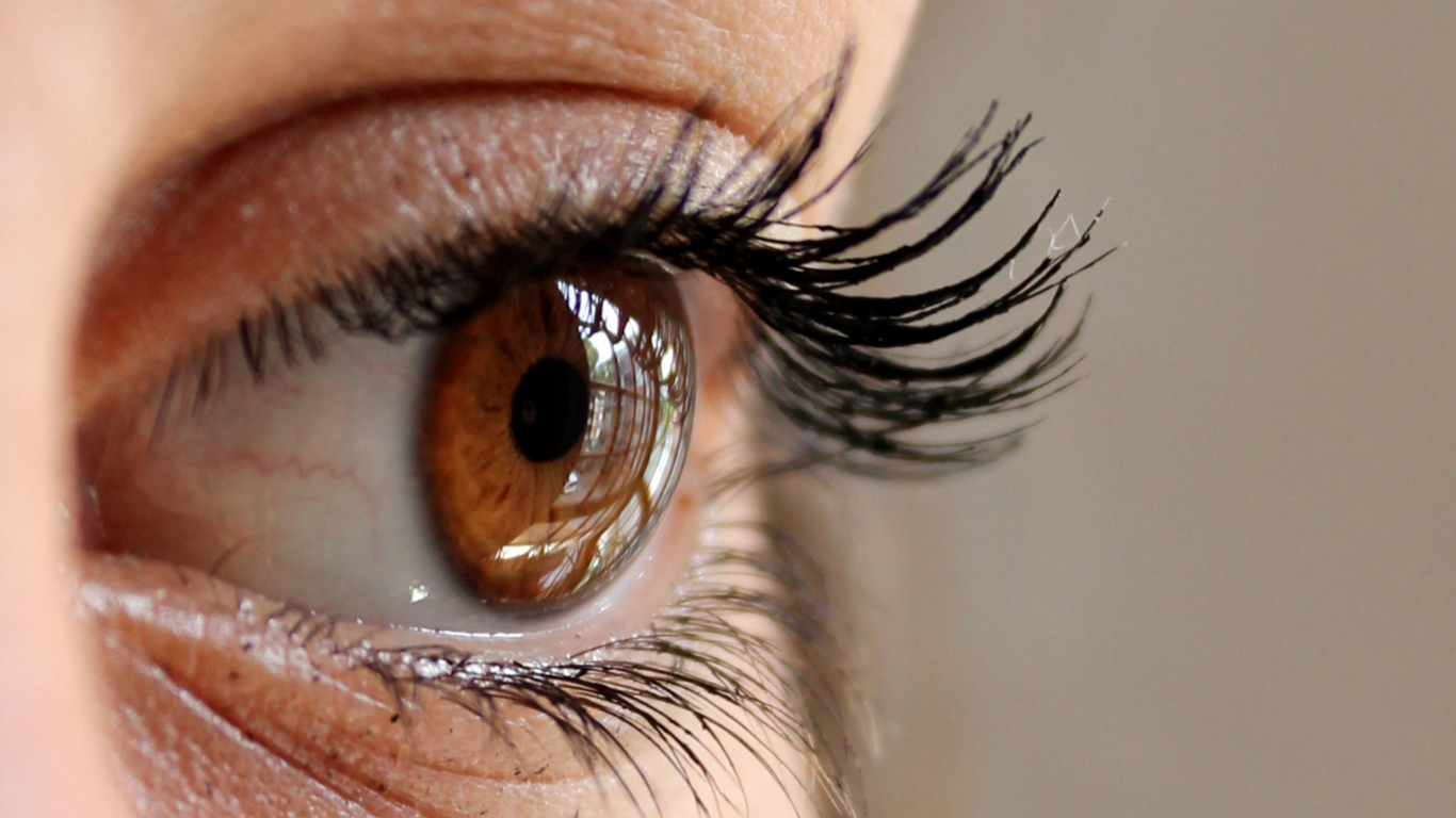 Triquiasis Palpebral 