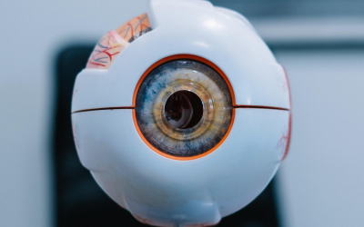 Arteria central de la retina: guía completa sobre su función, diagnóstico y cómo proteger tu visión