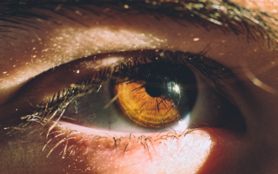 Moscas volantes en jóvenes y adultos: síntomas, causas y cómo solucionarlas para cuidar tu visión