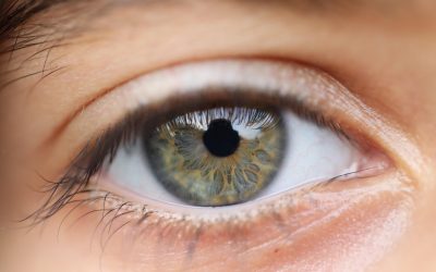 ¿Cómo funciona el humor vítreo?