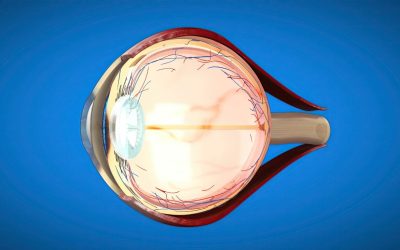 Nervio trigémino y ojos: función, síntomas y alteraciones oculares